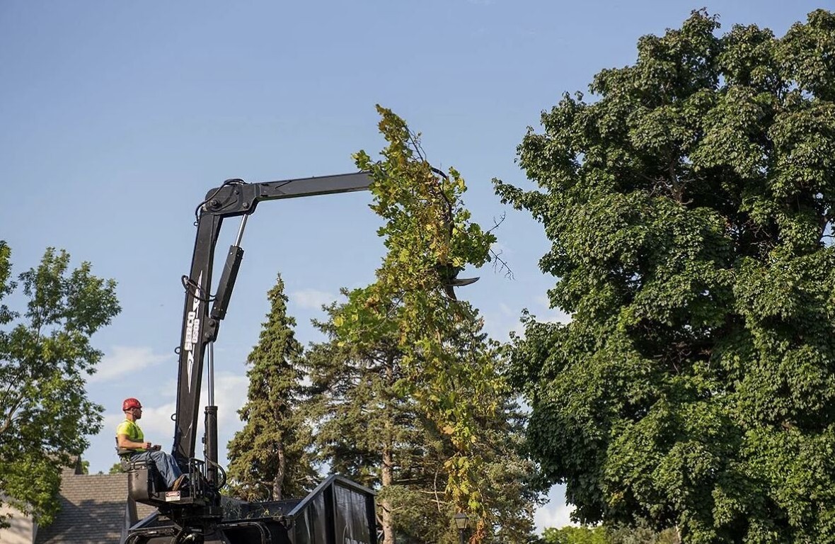 Crane-assisted tree removal service in Hanford, CA